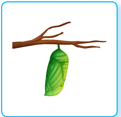 08004ja0-f121-238x229.png