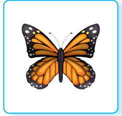 08004jai-29b3-243x231.png