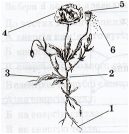 08004jtg-57bc-259x268.png