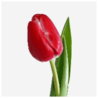 08004k1z-cd09-138x138.png