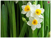 08004k2l-f4dd-181x135.png