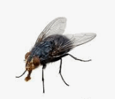 08004kuw-ae27-167x144.png