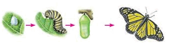 08004kyd-d270-447x120.png