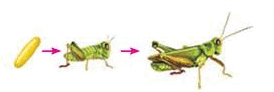 08004l3c-b620-274x92.png