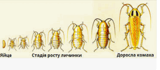 08004l3y-6314-325x142.png