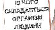 Із чого складається організм людини