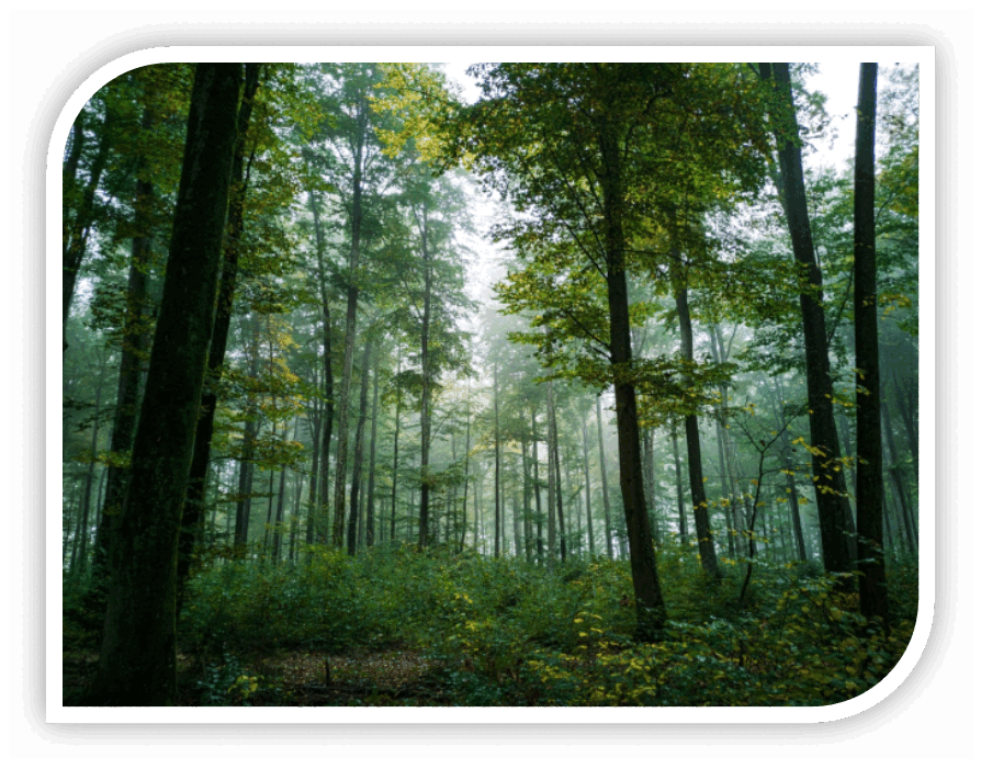 08004mdu-5090-894x701.png