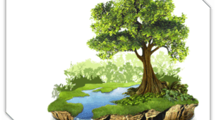 The world around us. Unit 6