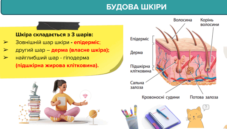 08004mlt-add4-760x431.png
