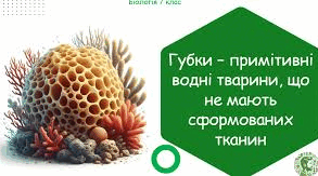 Губки і жалкі