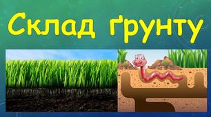 Діагностувальна робота № 6 за темою " Я досліджую неживу і живу природу". Я досліджую світ 2 клас