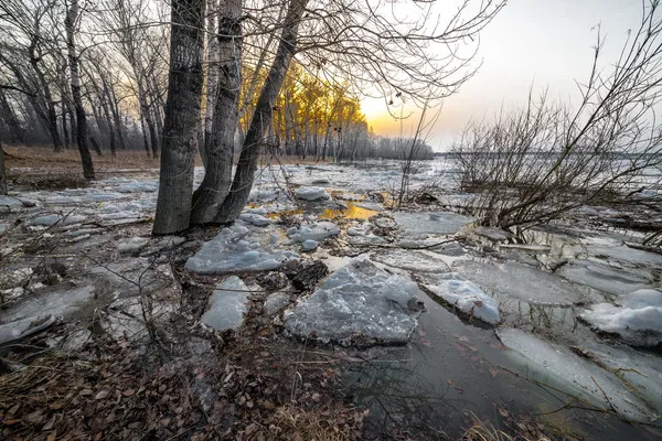 Танення снігу картинки, стокові Танення снігу фотографії, зображення | Скачати з Depositphotos