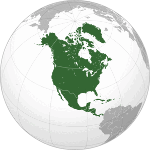 08004o9s-252b-298x298.png