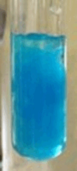 08004oc9-750b-153x340.png