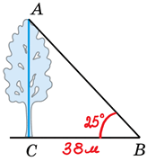 08004su8-7029-164x179.png
