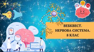 Вебквест. Нервова система. 8 клас