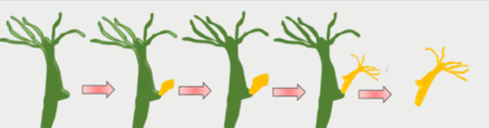 08004vrd-d7c9-449x118.png