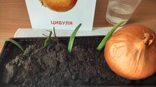 Використання STEM на індивідуальному занятті з розвитку слухового сприймання.