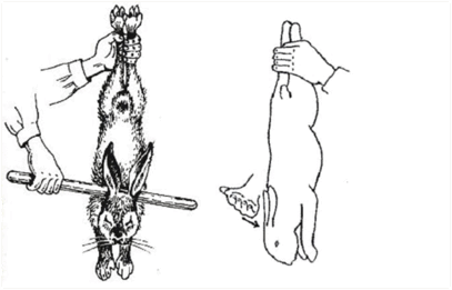 08004zzk-25d2-407x261.png