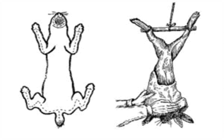 08004zzo-e5f8-317x198.png