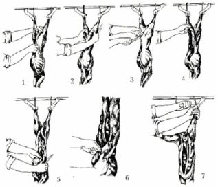08005003-eb43-317x272.png