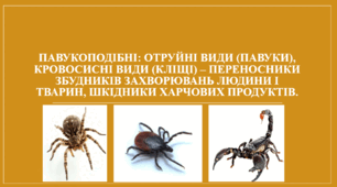 Презентація "Павукоподібні: отруйні види (павуки), кровосисні види (кліщі) – переносники збудників захворювань людини і тварин, шкідники харчових продуктів"