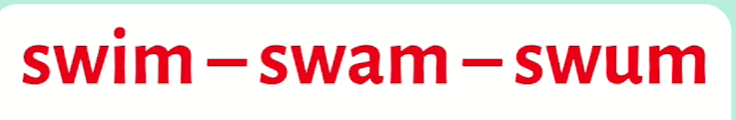 0800514b-89a4-736x120.png
