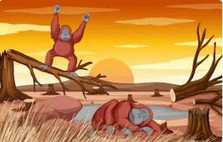 080053je-d8e6-430x274.png