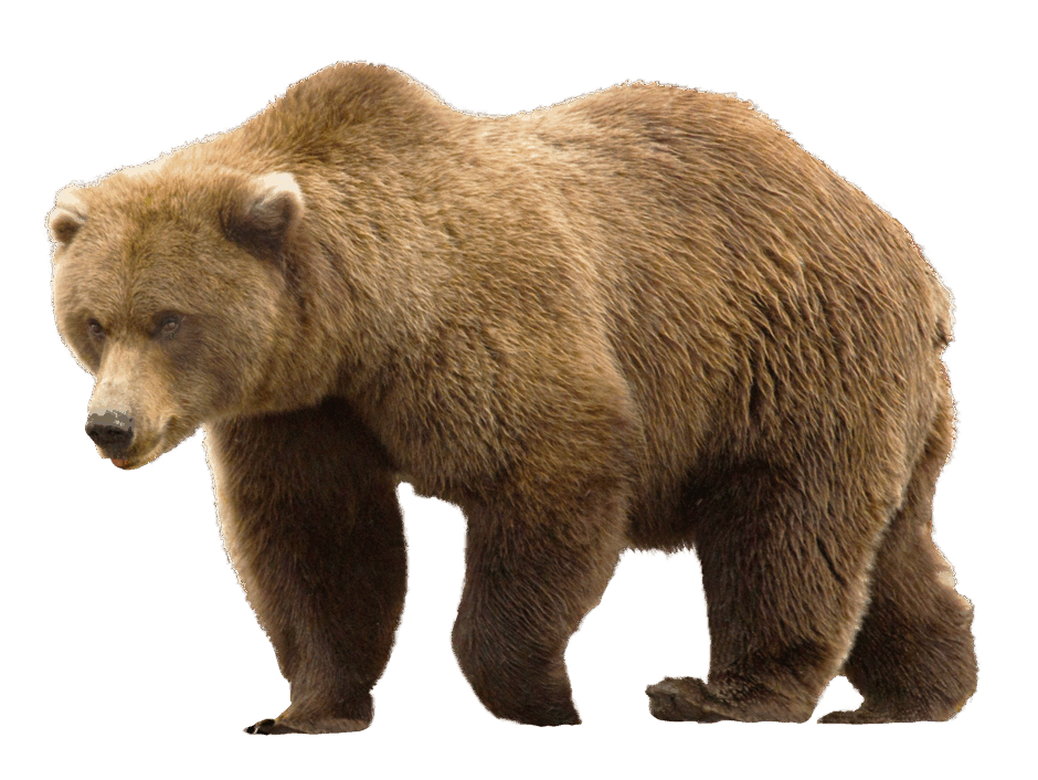 080053z1-920b-940x706.png