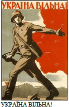 0800567v-880c-230x356.png
