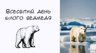 Презентація "Вснсвітній день білого ведмедя"