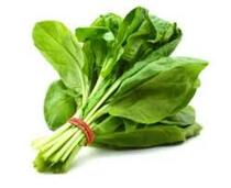 Spinach Large Leaf - 200g – Watts Farms