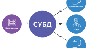 Бази даних. Система управління базами даних. 