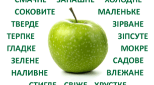 Прикметник. Діагностувальна робота №1
