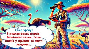 Презентація з біології "Різноманітність птахів. Безкільові птахи. Роль птахів у природі та житті людиних." 7 клас НУШ