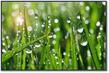 08005u4a-a866-205x138.jpg