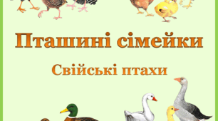 Демонстраційно-ігрові картки "Пташині сімейки" (Свійські птахи)