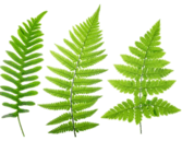 08005w6u-517e-167x129.png