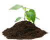 08005wct-b934-100x81.png
