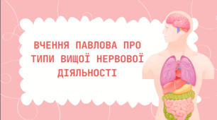 Презентація на тему "Вчення І. Павлова про типи вищої нервової системи. Темперамент"
