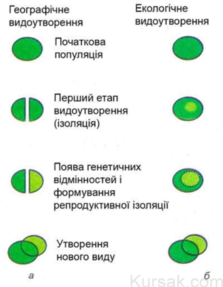 080064e3-76e2-326x418.png