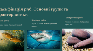 Риби, пристосування до мешкання у водоймах. Різноманітність риб