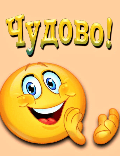 0800683t-2600-411x532.png