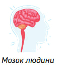 08006ap2-8080-125x140.png