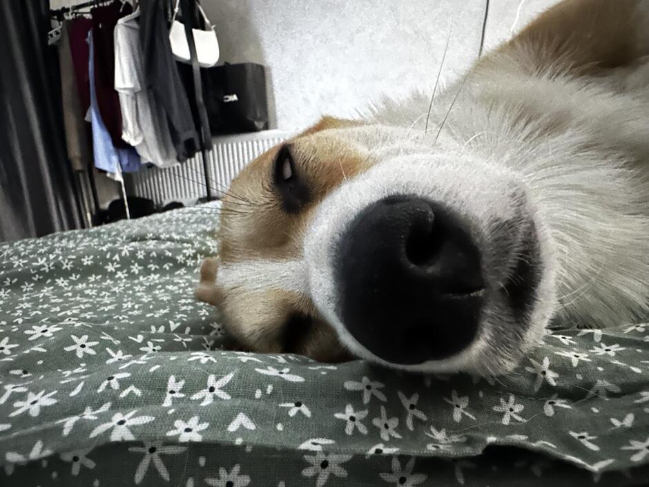 08006b08-f9f4-940x705.jpg