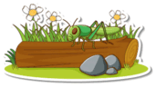 08006bsl-c6b2-171x97.png