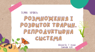 Розмноження і розвиток тварин. Репродуктивна система. 7 клас НУШ Задорожний