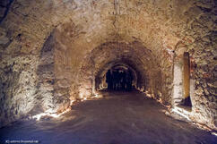 08006de4-8b09-242x161.jpg
