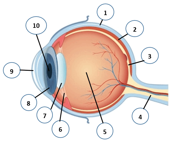 08006ee1-f00c-573x490.png