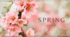 Questions about spring